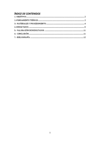 Practica-Campo-Magnetico.pdf