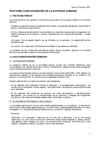 Sector-primario-geografia.pdf