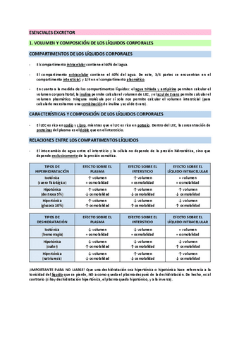 Esenciales-resumen-renal-2P-FMI.pdf
