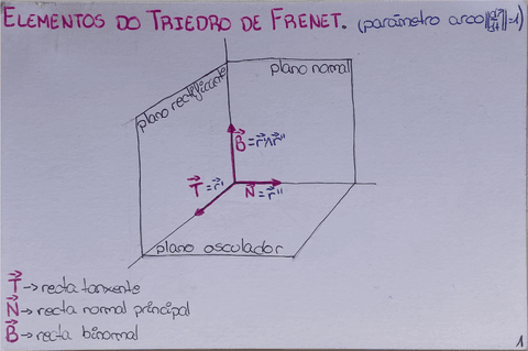 1.-Elementos-do-Triedro-de-Frenet.pdf