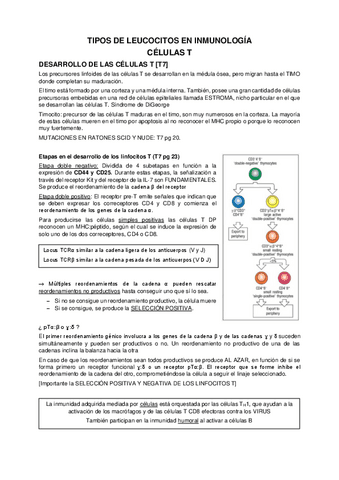 TIPOS-DE-LEUCOCITOS-EN-INMUNOLOGIA.pdf