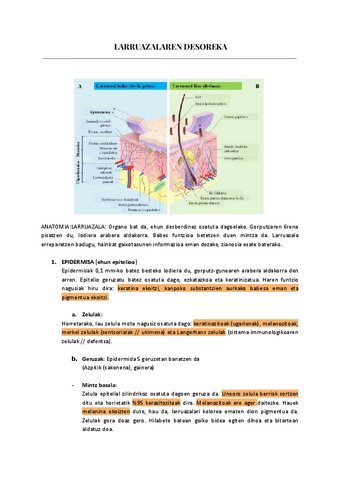 LARRUAZALAREN-DESOREKA.pdf