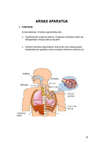 NUTRIZIOA.-Arnas-aparatua.docx.pdf