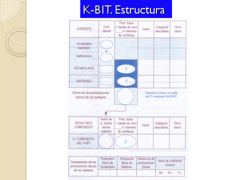 TODOS-LOS-TEMAS-TECNICAS-303.pdf