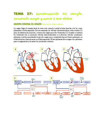 TEMA-27-28circulacion-aorta-cava.pdf