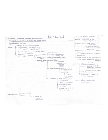 esquema-t.9-parte-3.pdf