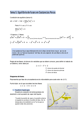 QUIMICA-II-temas-5-9.pdf