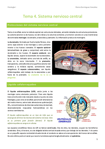 Tema-4-fisiologia.pdf