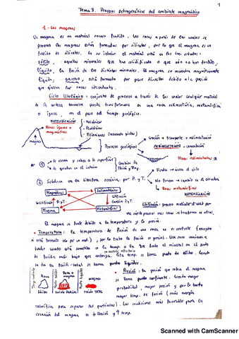 Procesos-petrogeneticos-del-ambiente-magmatico.pdf