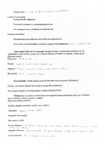 Teoria-Sistema-reproductor.pdf