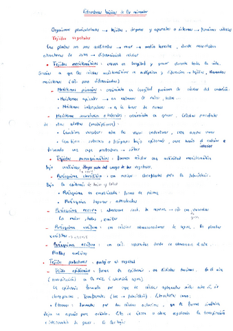 Teoria-Estructuras-basicas-de-los-animales.pdf