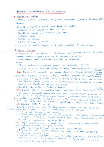 Teoria-Proceso-de-nutricion-en-animales.pdf
