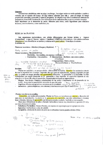 Teoria-Reino-vegetal.pdf