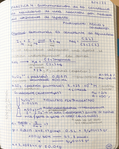 Experimentacion-Quimica-practica-4.pdf