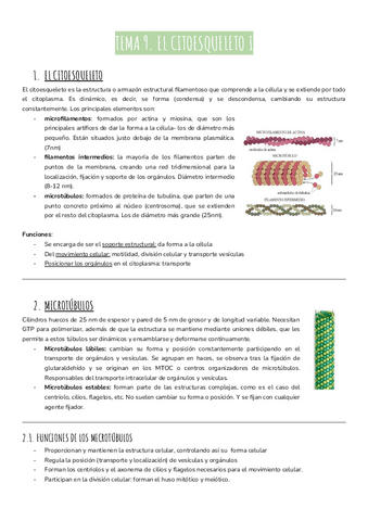 temas-9-24-biologia.pdf