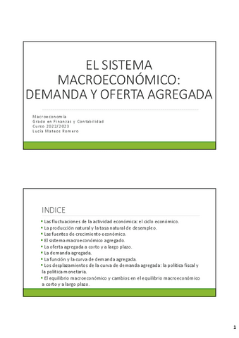 Tema-3-Macro-FICO.pdf