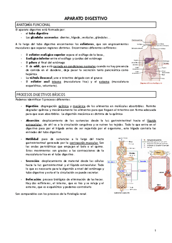 T.23-APARATO-DIGESTIVO.pdf