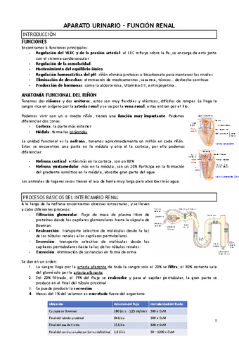 T.21-APARATO-URINARIO-FUNCION-RENAL.pdf