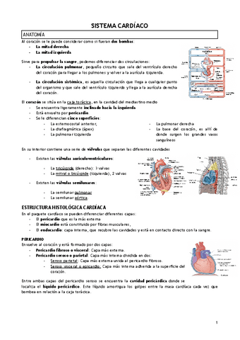 T.17-SISTEMA-CARDIACO.pdf