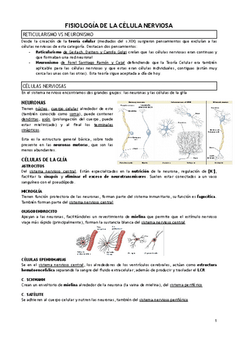 T.2-FISIOLOGIA-DE-LA-CELULA-NERVIOSA.pdf