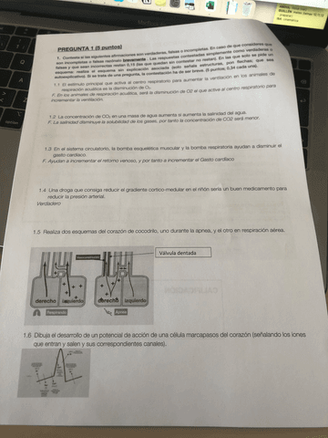 EXAMEN-2o-CUATRI.pdf