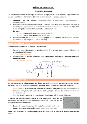 PRACTICAS-COMPLETAS-FA.pdf