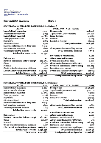 REPTE-9-Patrimoni-net-Solucio.pdf