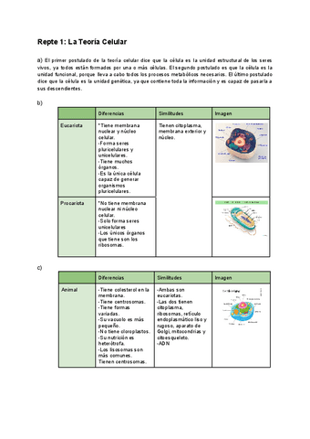 Copia-de-REPTES-1-y-2.pdf