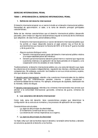 apuntes-derecho-internacional-penal.pdf