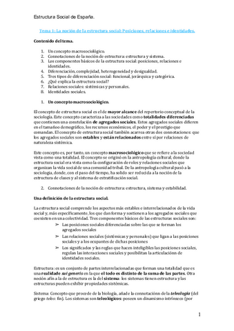 apuntes-estructura-social-de-espana.pdf