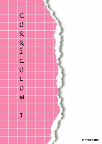 CURRICULUM-I.pdf