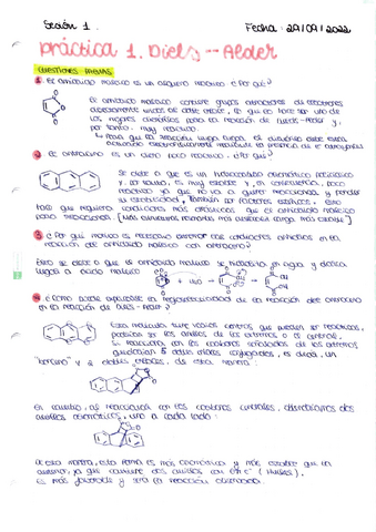 Diels-Alder.pdf