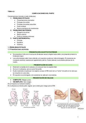 4.2 Complicaicones en el parto.pdf