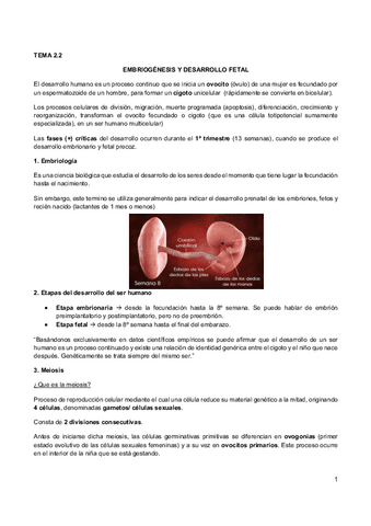 2.2 Reproduccion humana y embriogenesis.pdf