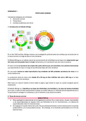 Seminarios-TODOS.pdf