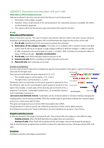 LESSON-5.-Generation-and-maturation-of-B-and-T-cells.pdf