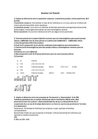 EXAMEN1-PARCIALresp.pdf.pdf