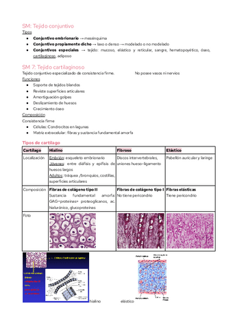 SMA-Tejido-cartilaginoso.pdf