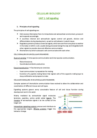 Cellular-biology-unit-1.pdf