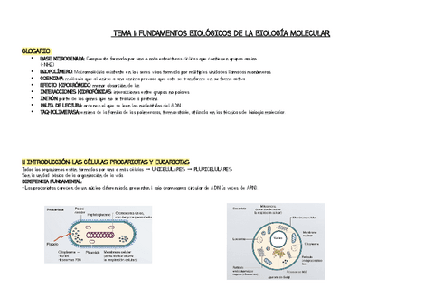 T.1-Fundamentos-biologicos-de-la-biologia-molecular.pdf