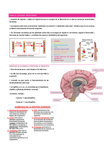 tema-8-Y-9-A.pdf