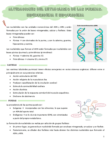 Alteraciones-metabolismo-purinas.pdf