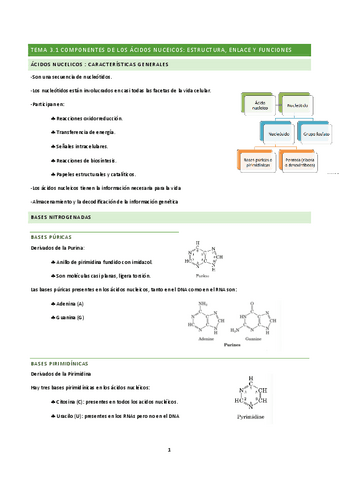 tema-3-y-4-BQ.pdf