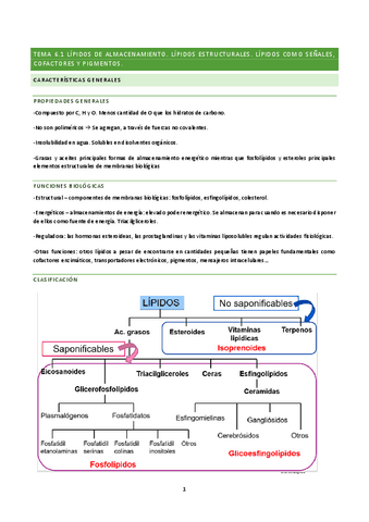 tema-6-BQ.pdf