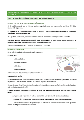 TEMA-7-BQ.pdf