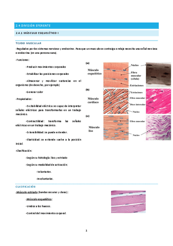 tema-2.4-F.pdf