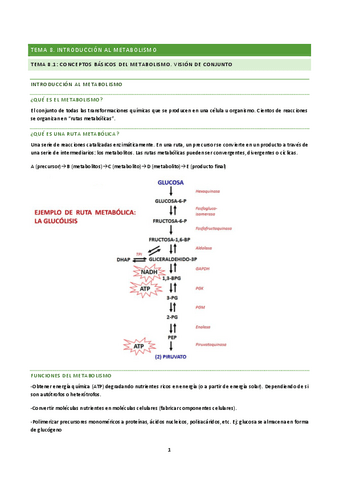 tema-8-BQ.pdf