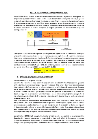 TEMA-3-apuntes-PDF.pdf