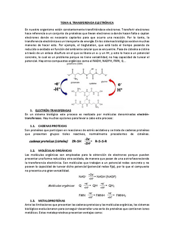 TEMA-4-apuntes-pdf.pdf