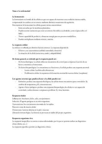 FP-T4.pdf